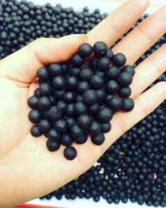 hoàn tán y học cổ truyền