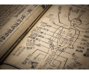 Đào Tạo Dài Hạn Y Học Cổ Truyền