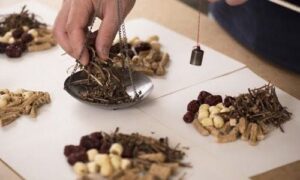 bác sĩ Đông y thăm khám trước khi bốc thuốc