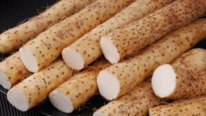 Củ mài những lợi ích đối với sức khỏe thận theo Đông y